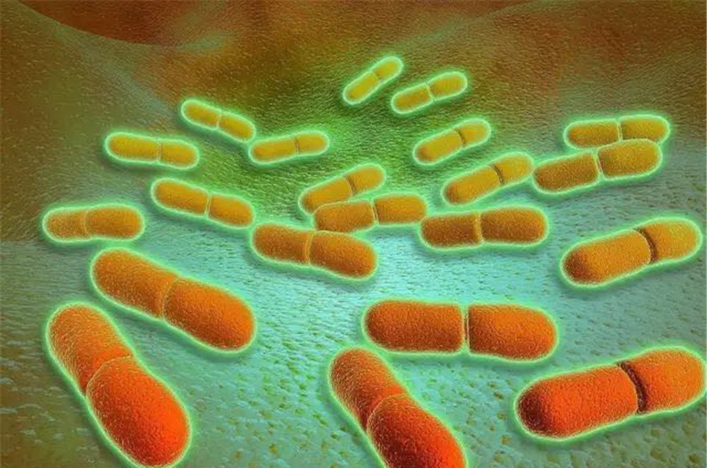 冰箱里的杀手，超强菌种连冷冻都能活