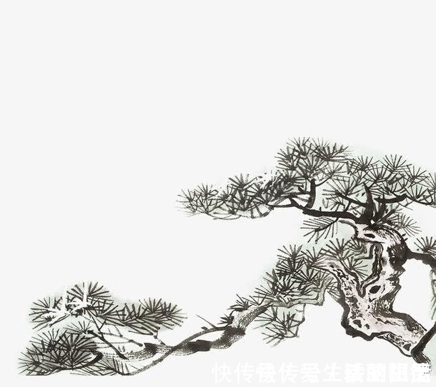 自然法则&白话“道法术器”一个道家思维,让你终身受益!