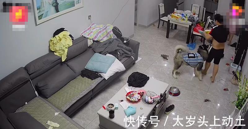 宝宝|湖南一宝宝趴沙发上睡觉，爸爸“上菜”进屋，妈妈一旁笑出鹅叫