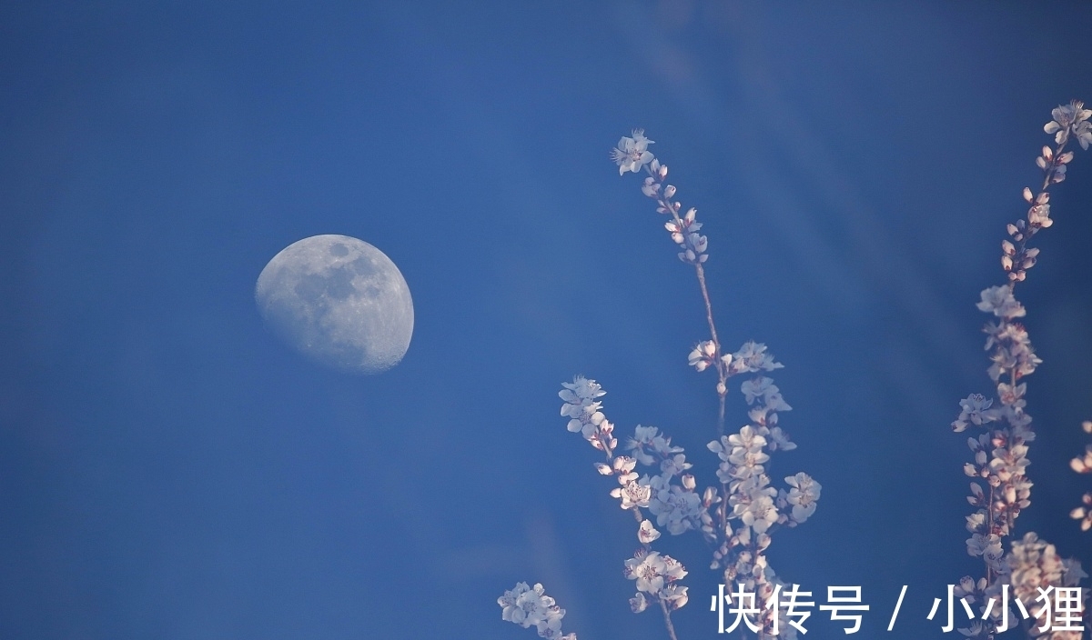 月亮|我说诗词里的月色那么美,你说是的