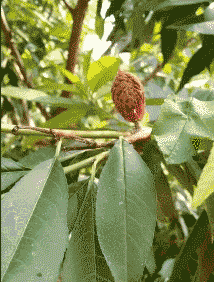 |搞笑笑话,动图:老哥,这就有点尴尬了!