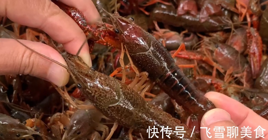 垃圾|小龙虾别直接用清水洗，相当于吃垃圾，教你小技巧，垃圾自动跑光