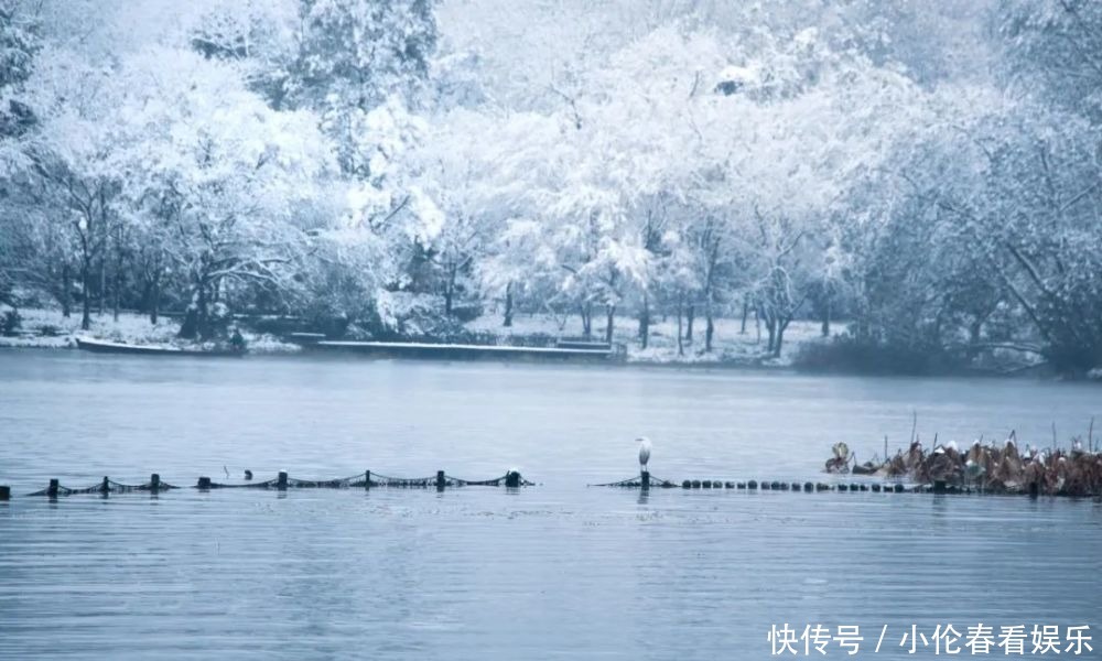 美成|一下雪，杭州就美成了临安