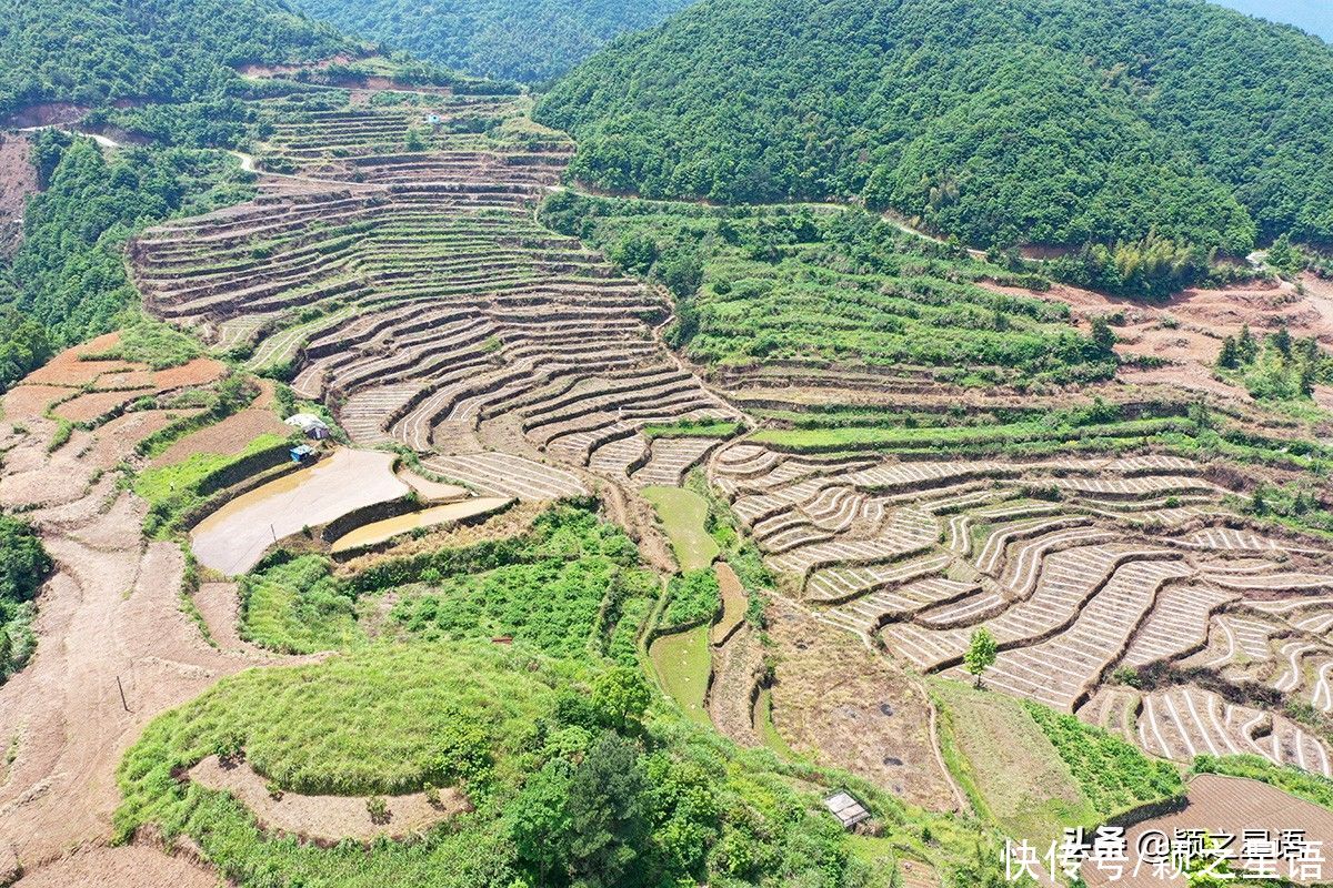 交界地|台州和宁波交界地，紫云山名源于永乐帝朱棣，梯田层叠很壮观