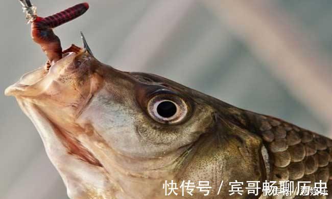 机关|会自动钓鱼的“机关鱼钩”你见过吗没有的话，来瞧瞧，很神奇