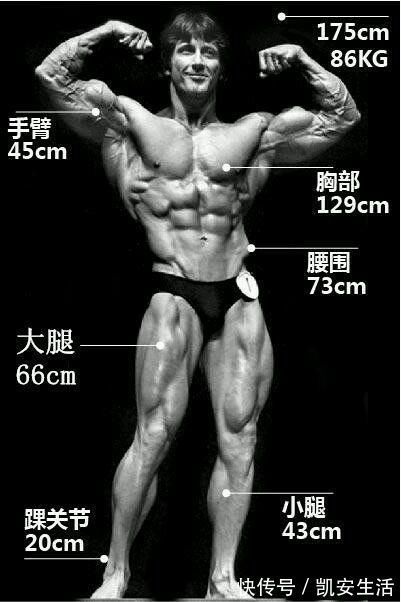 科尔曼|健美运动有史以来10大最佳体形评选，施瓦辛格居然不是第一名？