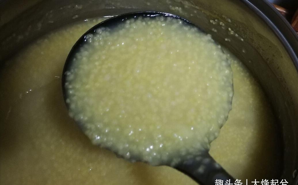小米|夏天多吃小米,煮小米粥,不要直接下锅,多加2步,米油多又香浓