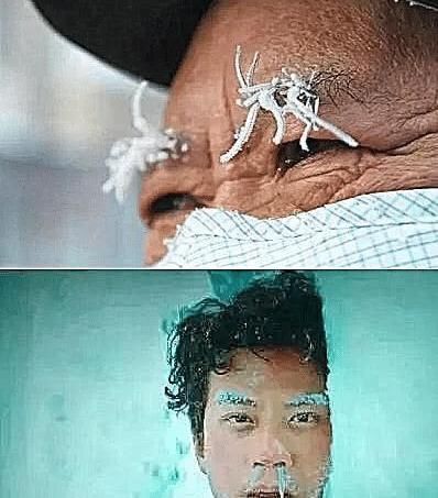 东北究竟有多冷芦荟胶成渣,泡面特效都没啥,看到乌龟笑趴了