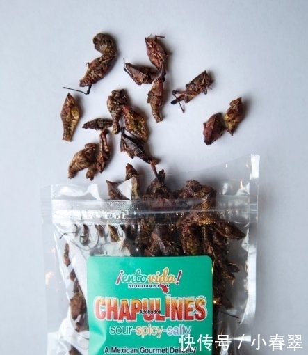 重口“美味”,你敢吃吗,我看了都怕了!