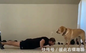 做俯卧撑|健身的最佳拍档,你绝对想不到!