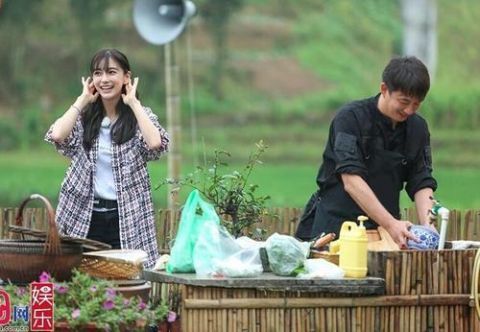 節目|本來想看王冰冰的，沒想到被節目吸了粉