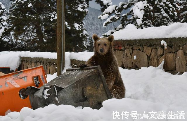 果妈|孩子若是有这几种“节俭”举动，未来容易没出息，家长别再偷着乐