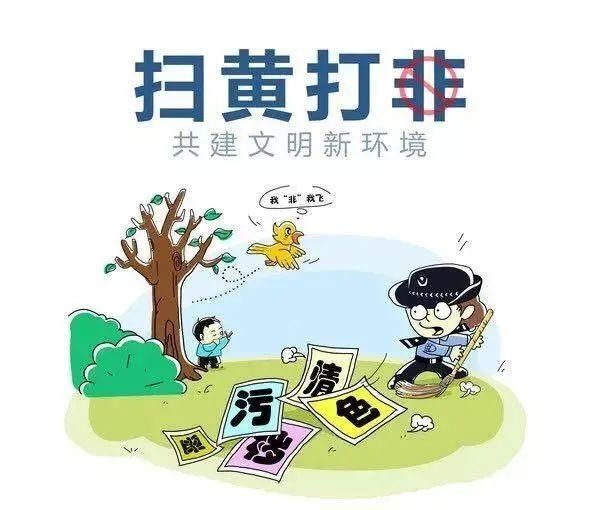 【扫黄打非】定州市某书店非法销售盗版图书