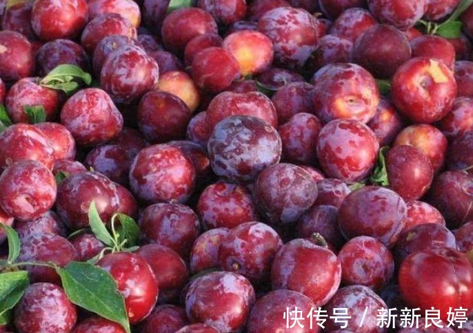 可溶性膳食纤维|聪明女性常吃4种水果，瘦身减肥，排毒护肤，好吃又健康！