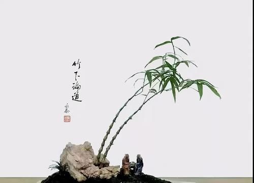 竹子盆景，清新脱俗秀逸有神韵，潇洒挺拔，快来动手制作一盆