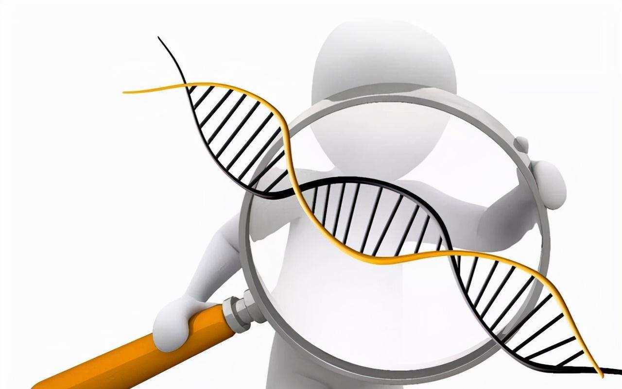 白粥|平时很少吃甜食,为什么也会得上糖尿病?医生说出答案