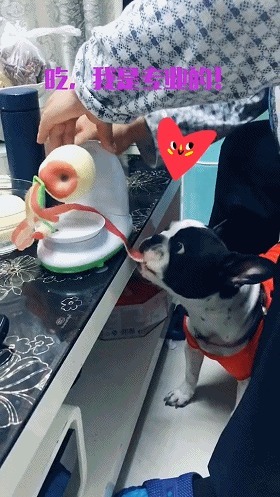 |搞笑GIF:去国外旅游,打了一个三轮车,居然带我上天了