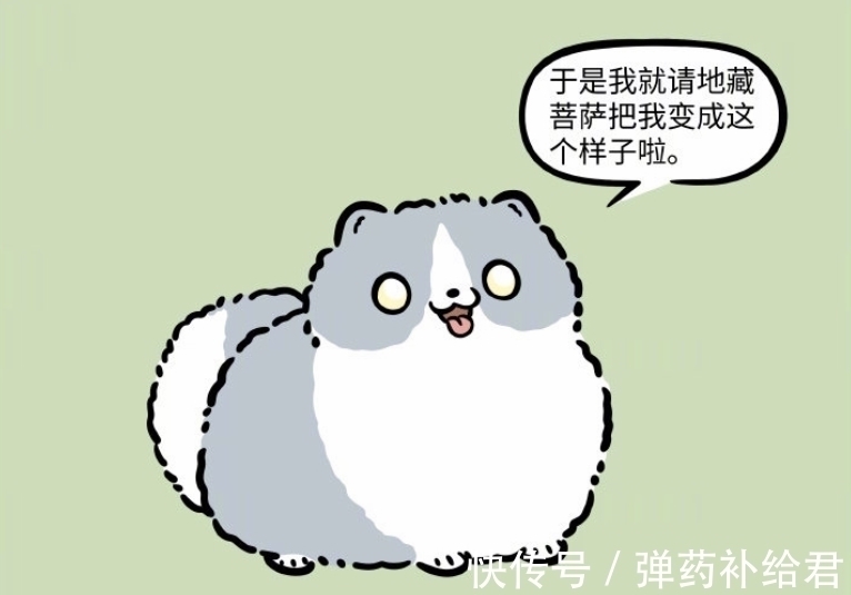 博美|非人哉:有烦恼找地藏,哮天变身超萌圆滚滚,就是物种好像不太对