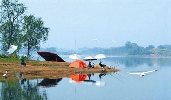 钓法|自然水域野钓大鱼,用了这些招数,效果出奇的好,大鱼连竿上