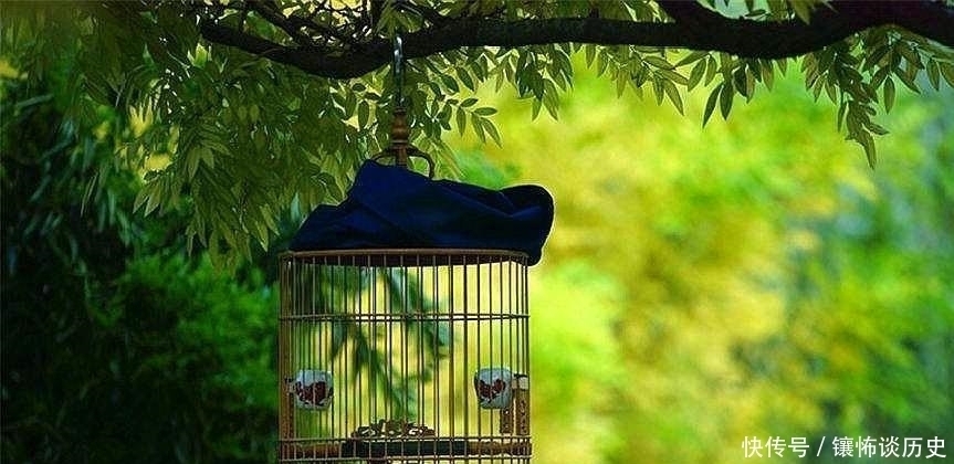 诗人#清风明月正宜人,足以慰风尘,七首唯美宋诗,忘却烦恼只留星辰