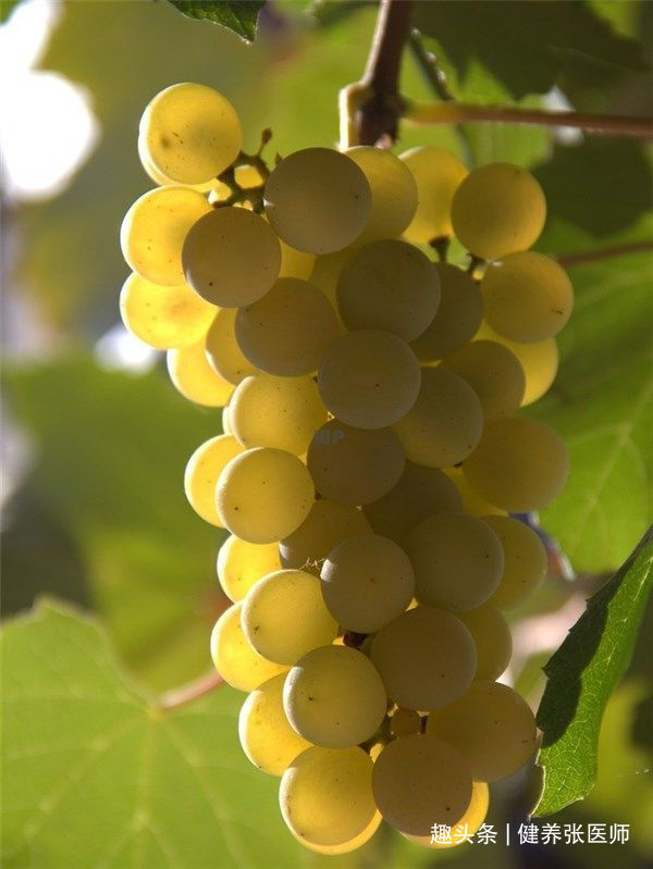 中年人推荐多吃几种食物,消除疲劳,减肥瘦身,好处多多!