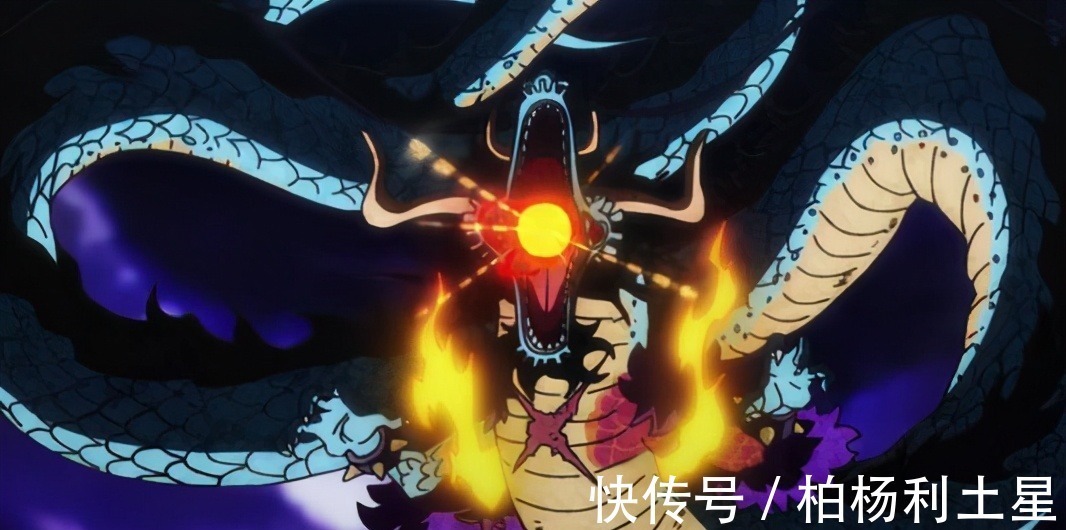 卡普|海贼王实力排名前五的强者,其中一位争议极大,还被无数漫迷憎恨