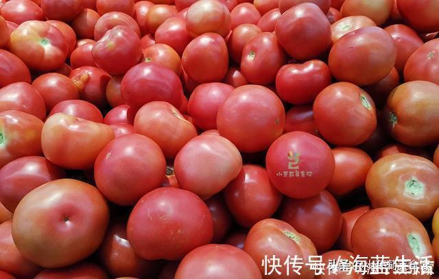 买西红柿，挑圆的还是尖的？菜农：“这3种”可别买，都是催熟的