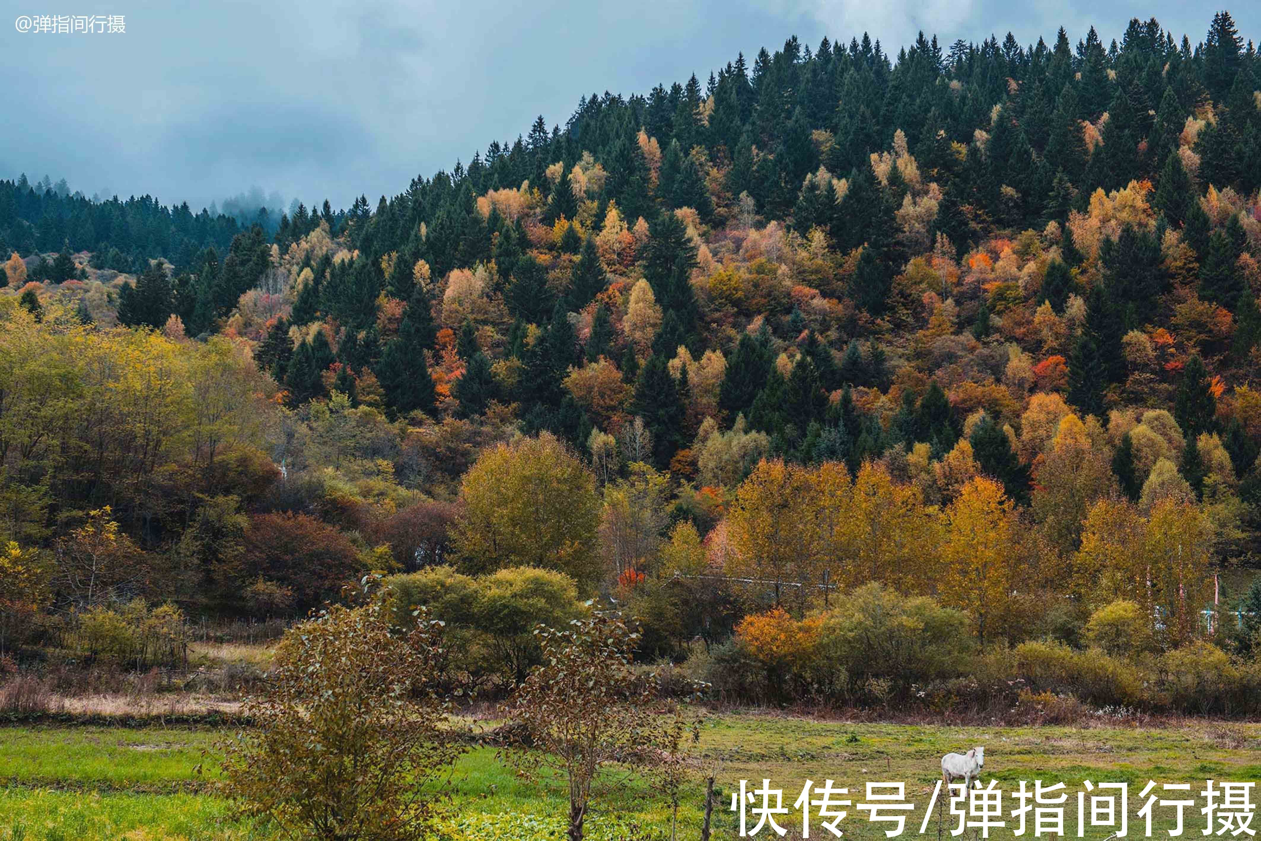 神鹰|失传已久的“德勒府”重现九寨，几百年前的藏区贵族生活再现人间