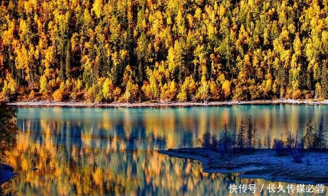 中年|新疆重新开放,国内秋季颜值巅峰全在这条线上,国庆自驾正合适!