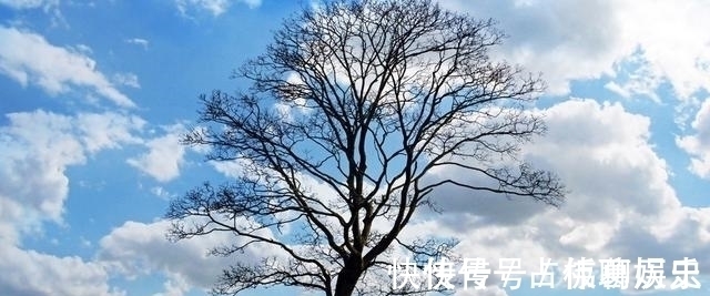 慧根#《素书》:成大器者的3条慧根,具有一条都是大智慧
