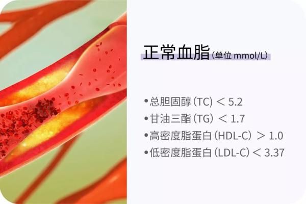 数字|胖不胖不能只看体重！这有22组数字，让你更了解身体状况