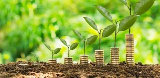 近期科技趣评 寒武纪生命大爆发可能并不存在   能源