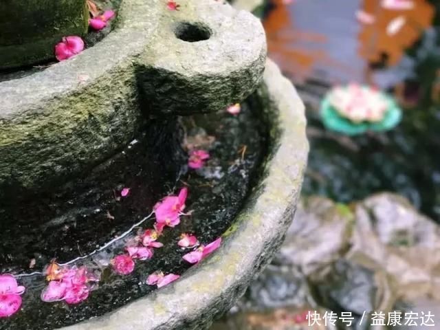 最美的尼姑庵，不烧香只种花，看一眼就想出家，韩红也慕名而来