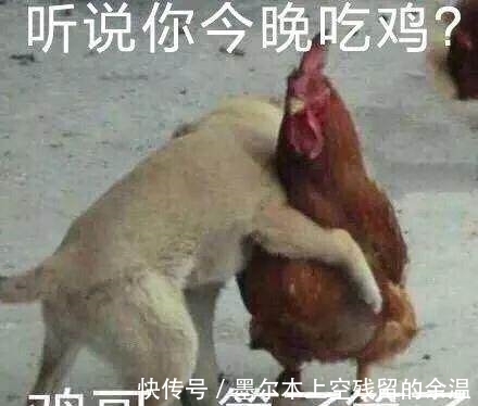 猪脸|怎么知道一只猪快不快乐?“猪脸识别”了解一下