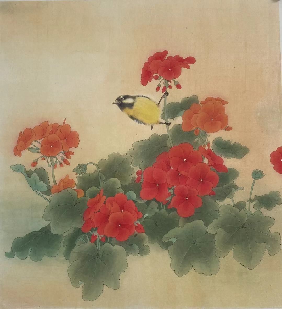 花鸟画|十年，这位上海画家画了100幅花鸟图，与花博会的鸟语花香交相辉映