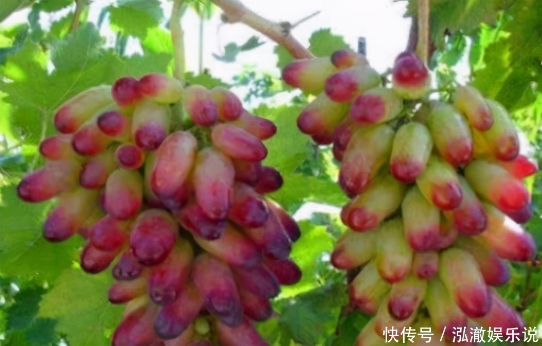 超市最常见的3种食物,营养丰富、滋润肌肤,好处多多!