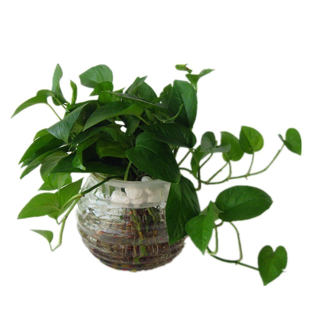 洛廷石|新床到家后,下一步很重要!不然可能遭受到甲醛的侵害