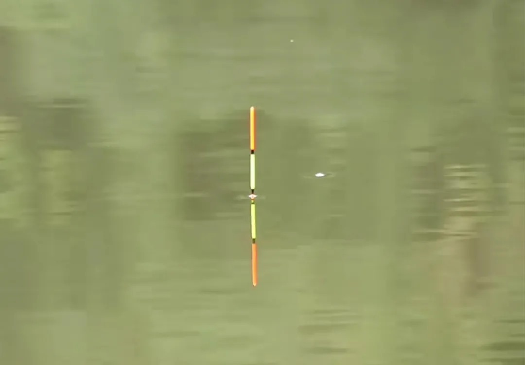 冬钓鲫鱼的“三大注意”，能做到就能保证基本的鱼获