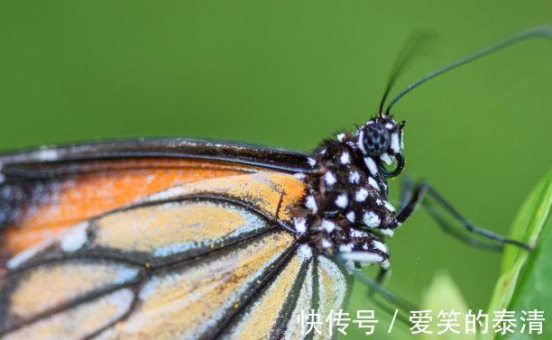 天蝎座|近期内，冲破低谷，财运亨通，苦尽甘来，心有不甘，真爱失而复得