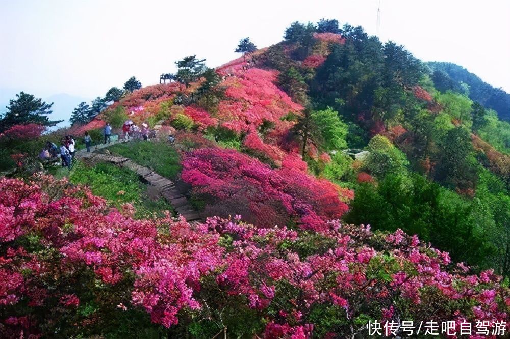 最接地气的小众自驾旅行路线，人少景美，春暖花开值得安排