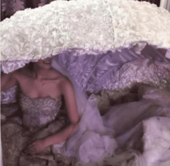 贝壳|抖音“贝壳新娘”火了,打开贝壳的那一秒,网友:新郎真有福气