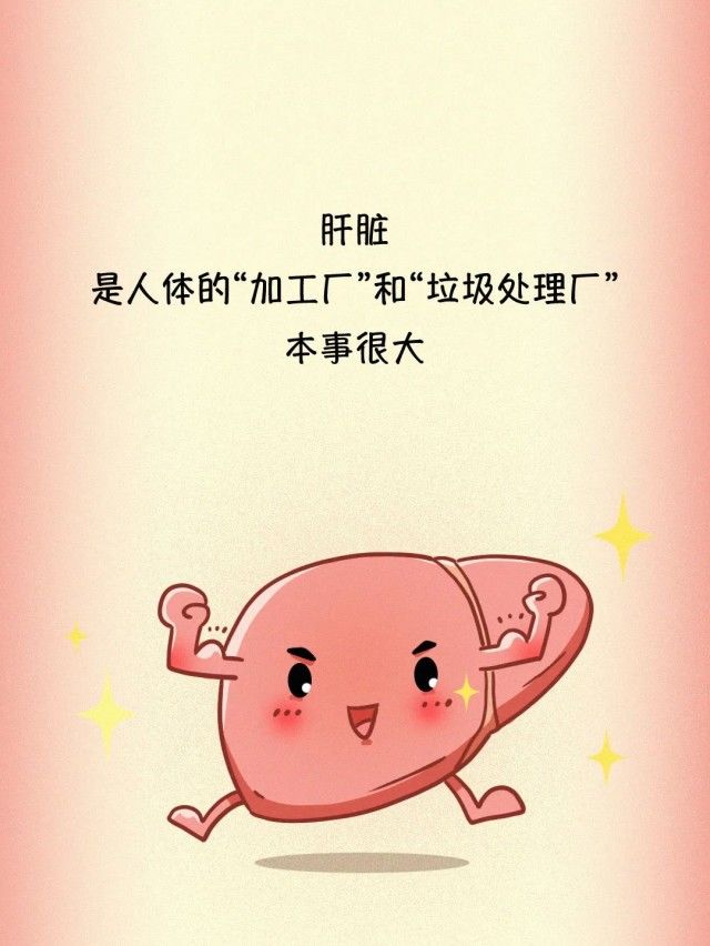受伤|肝脏受伤全过程