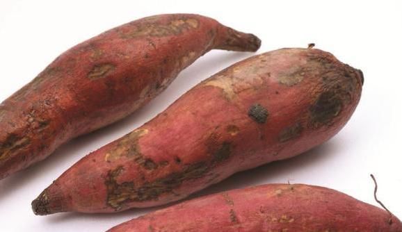 肝脏|36夫妻相继患癌，2个月后离世，医生：家中有这3样东西，尽快丢掉