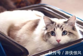 |幽默笑话:我姐的生日是中秋节,日子比较特殊,所以我总是会记得