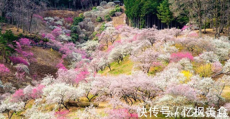 空气|湖南有个“避暑胜地”，有山有水空气好，年平均气温仅有14度！