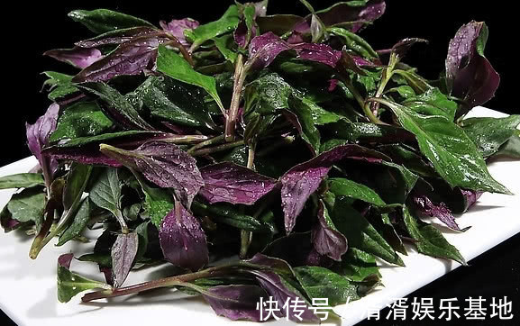 清肠排毒|天然“补血菜”,比阿胶还养人,祛黄除斑抗衰老,女性不妨多吃