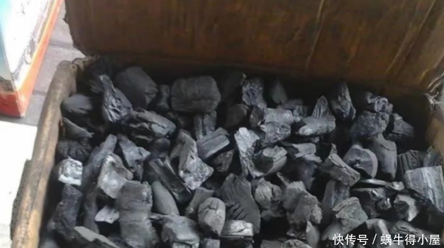 挖掘木炭养花用途:当肥?改善土壤?防治病虫害?