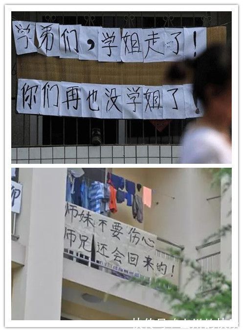 |幽默又搞笑的大学校园横幅,你见过吗?