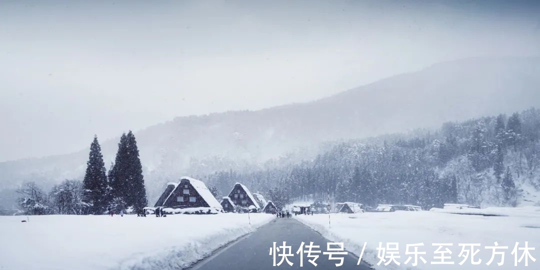 梅花#不知不觉,冬已深