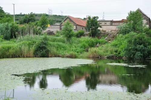 玩伴|美文赏析 静夜思故乡